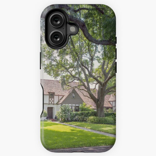 Item preview, Winter Park Historic Homes Gamble Rodgers X106 designed and sold by RichFrancoCars.