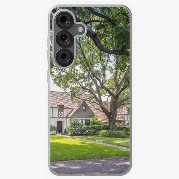 Item preview, Winter Park Historic Homes Gamble Rodgers X106 designed and sold by RichFrancoCars.