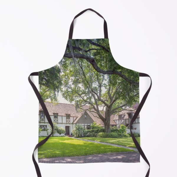 Item preview, Winter Park Historic Homes Gamble Rodgers X106 designed and sold by RichFrancoCars.