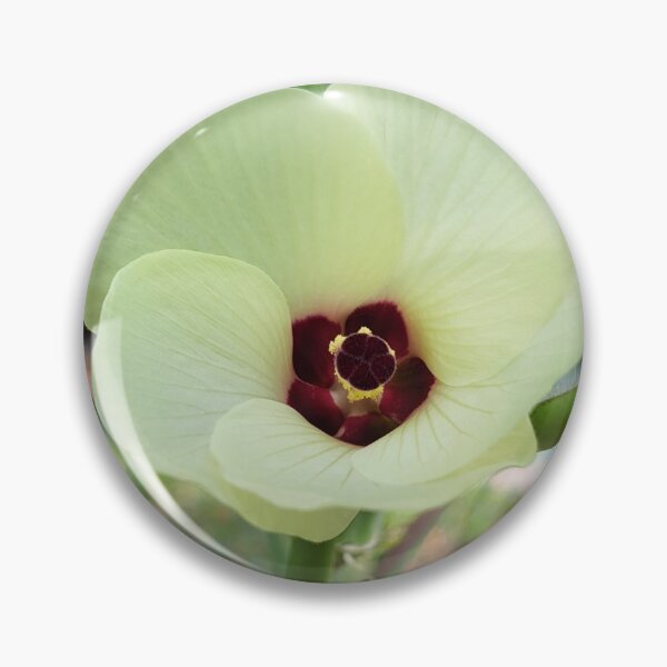 Item preview, Beautiful okra flower designed and sold by RoosterD.