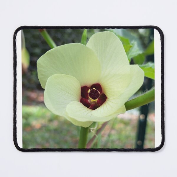 Item preview, Beautiful okra flower designed and sold by RoosterD.