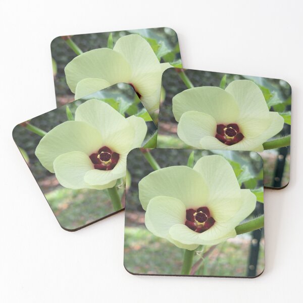 Item preview, Beautiful okra flower designed and sold by RoosterD.