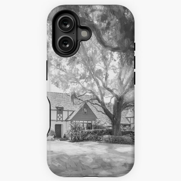 Item preview, Winter Park Historic Homes Gamble Rodgers X107 designed and sold by RichFrancoCars.