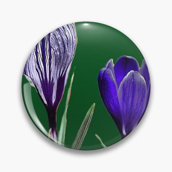 Item preview, Crocusing in Blue ( 1 ).  designed and sold by Larry Davis.