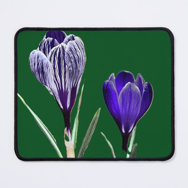Item preview, Crocusing in Blue ( 1 ). designed and sold by Larry Davis.