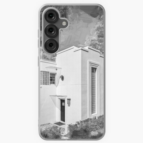 Item preview, Winter Park Historic Homes Gamble Rodgers X110 designed and sold by RichFrancoCars.