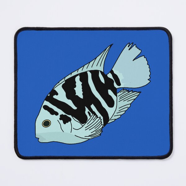 Item preview, Polar Blue Parrot Cichlid designed and sold by Leapingdoe.