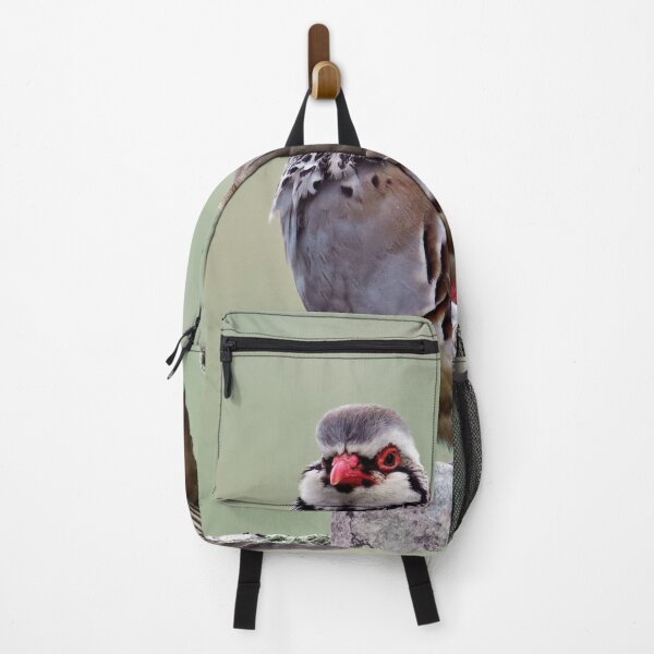 Item preview, Male red-legged partridge designed and sold by Tom McPherson Photography.