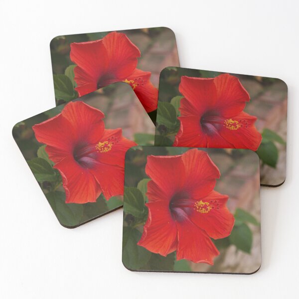 Item preview, Hibiscus Rose de Chine - Thaïland designed and sold by kdls-pictures.