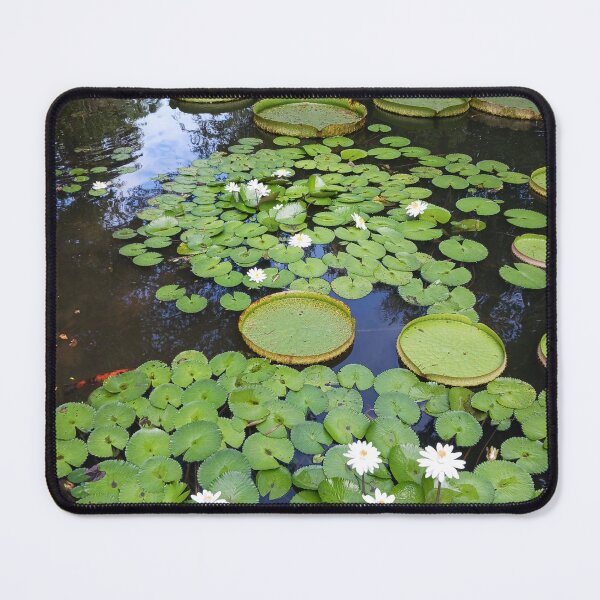 Item preview, Lily Pads designed and sold by Artwork333.