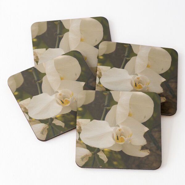 Item preview, Aging Beauty – White Phalaenopsis Orchids designed and sold by kdls-pictures.