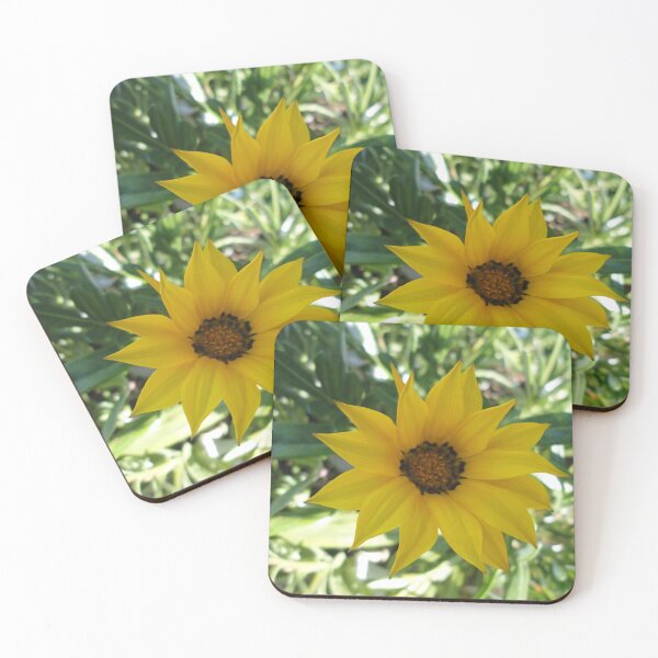 Item preview, Spring has Sprung! designed and sold by Kymbo.