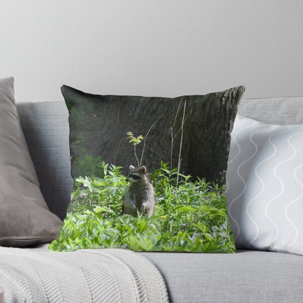 Item preview, Chicago Raccoon  designed and sold by brooklevan.
