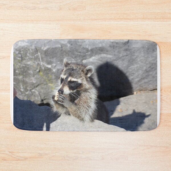 Item preview, Raccoon eating a peanut designed and sold by brooklevan.