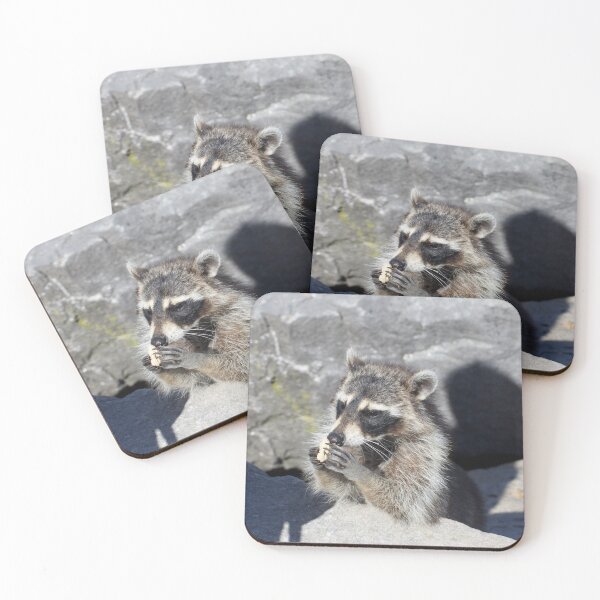 Item preview, Raccoon eating a peanut designed and sold by brooklevan.