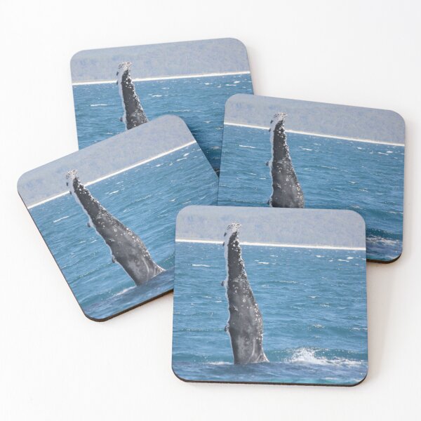 Item preview, Whale Pectoral Fin designed and sold by Kymbo.