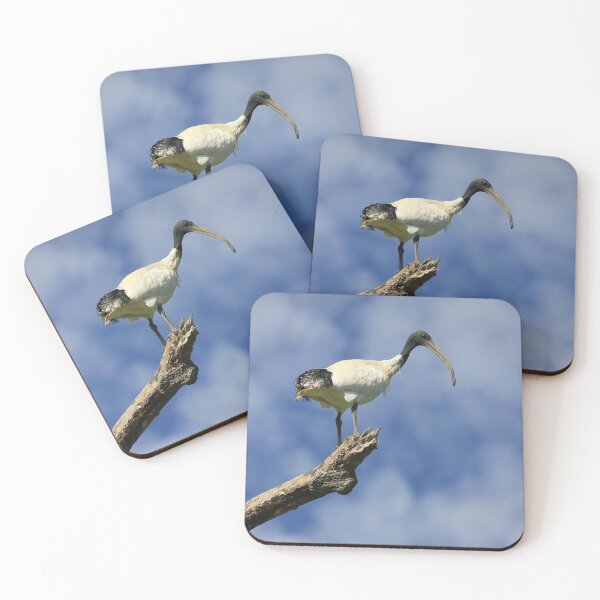 Item preview, Ibis designed and sold by Kymbo.