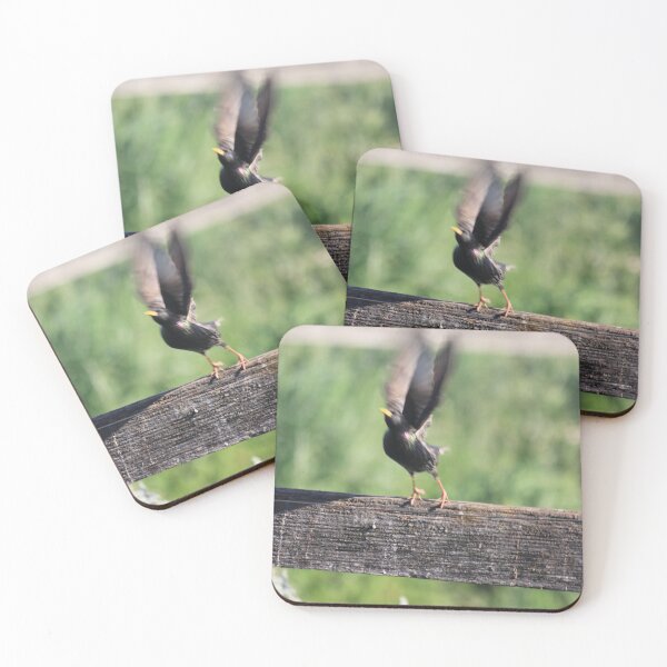 Item preview, Taking Flight! designed and sold by Kymbo.