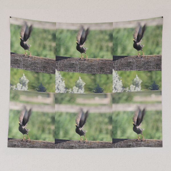 Item preview, Taking Flight! designed and sold by Kymbo.