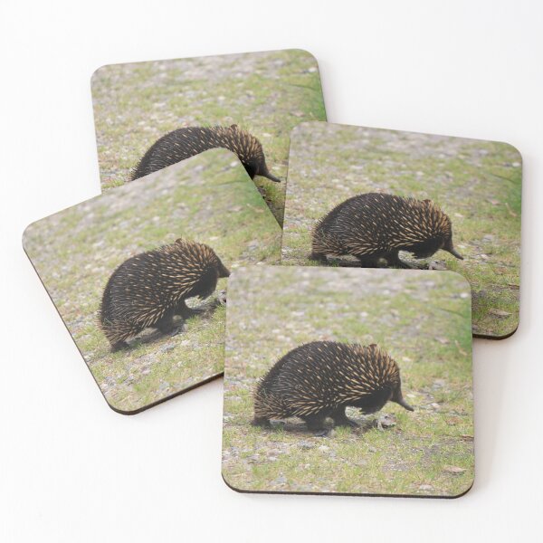 Item preview, Echidna crossing the road designed and sold by Kymbo.