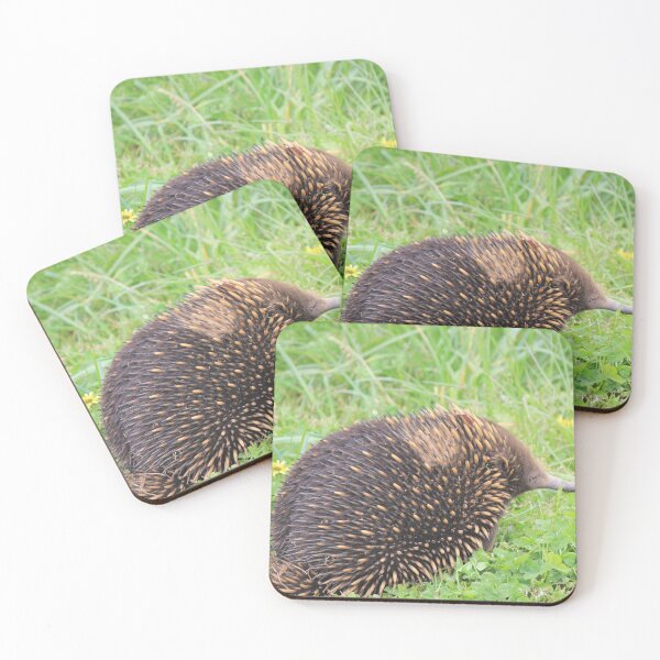 Item preview, Echidna designed and sold by Kymbo.