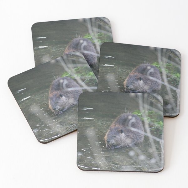 Item preview, It’s a beaver designed and sold by brooklevan.