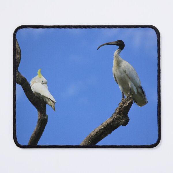 Item preview, Neighbours designed and sold by Kymbo.