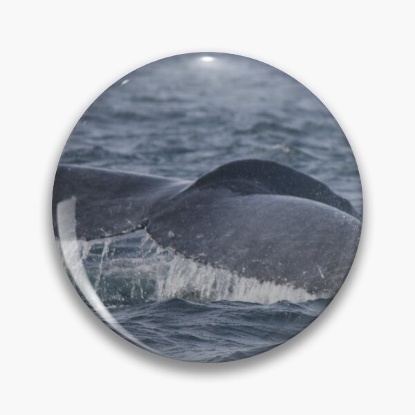 Item preview, Diving Deep! designed and sold by Kymbo.