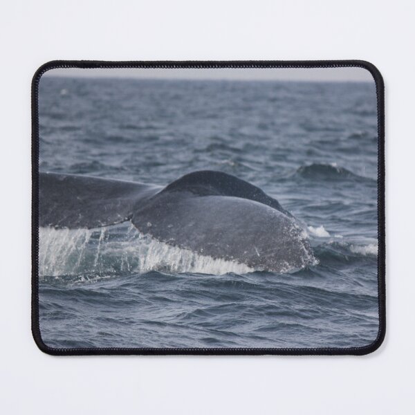Item preview, Diving Deep! designed and sold by Kymbo.
