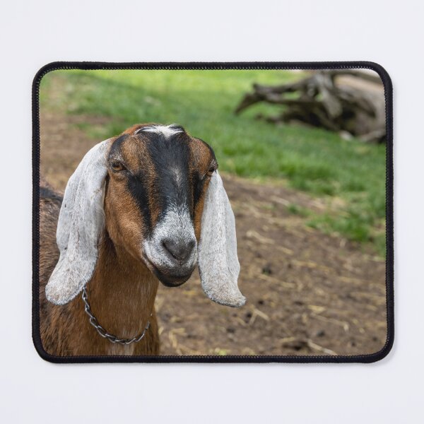 Item preview, Goat at Riverdale Farm designed and sold by jrtwynam.