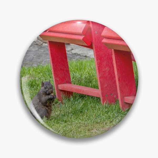 Item preview, Squirrel at Riverdale Farm designed and sold by jrtwynam.