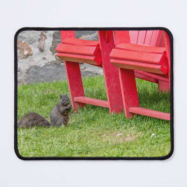Item preview, Squirrel at Riverdale Farm designed and sold by jrtwynam.