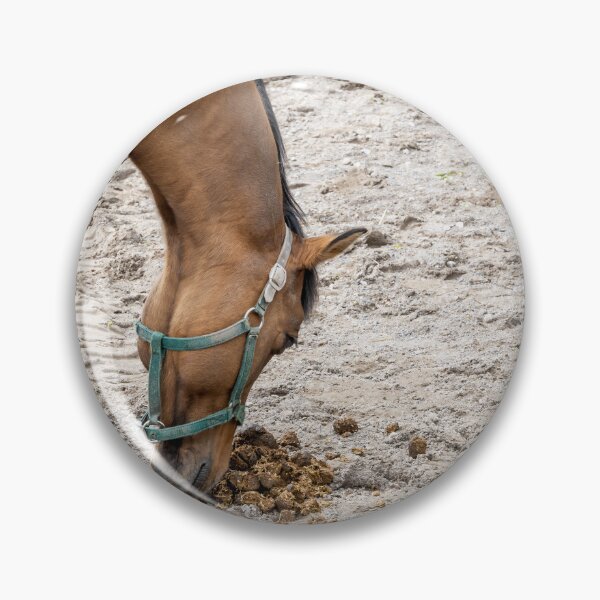 Item preview, Horse at Riverdale Farm designed and sold by jrtwynam.