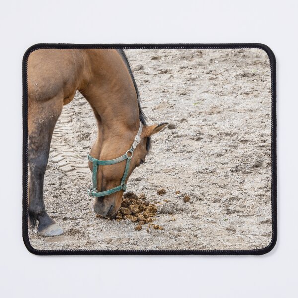 Item preview, Horse at Riverdale Farm designed and sold by jrtwynam.