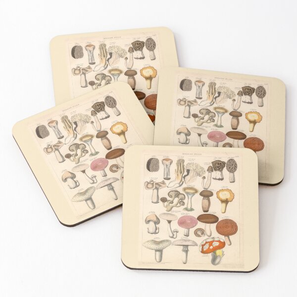 Item preview, Vintage Edible Mushrooms Illustration Print designed and sold by Bruiserstang.