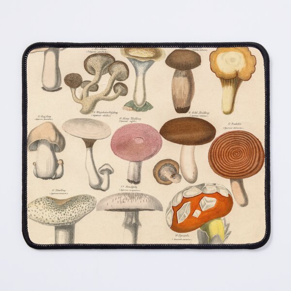 Item preview, Vintage Edible Mushrooms Illustration Print designed and sold by Bruiserstang.