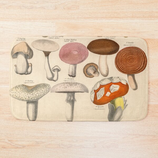 Item preview, Vintage Edible Mushrooms Illustration Print designed and sold by Bruiserstang.