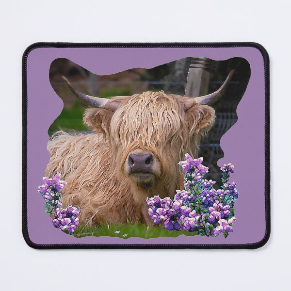 Artikelvorschau, Highland Coo und Heather entworfen und verkauft von SALLY WARE.