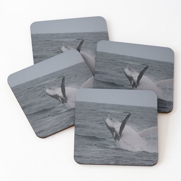 Item preview, Having a Whale of a Time @ Port Macquarie! designed and sold by Kymbo.