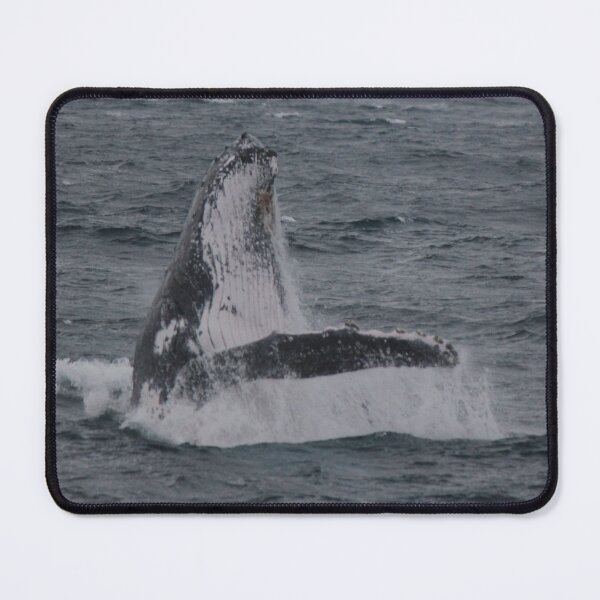 Item preview, Breaching Humpback designed and sold by Kymbo.