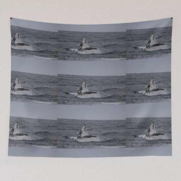 Item preview, Breaching Humpback designed and sold by Kymbo.