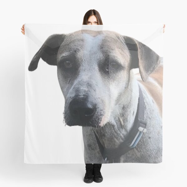 Item preview, Loyal Street Dog with Wise Eyes designed and sold by Yongyoot.