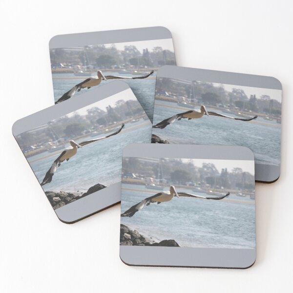 Item preview, Pelican Taking Flight @ Port Macquarie designed and sold by Kymbo.