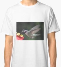 MALE ANNA'S AT FEEDER Classic T-Shirt