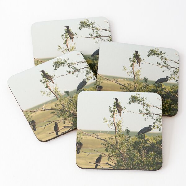 Item preview, One Of These Birds Is Not Like The Others! designed and sold by Alyce Taylor.