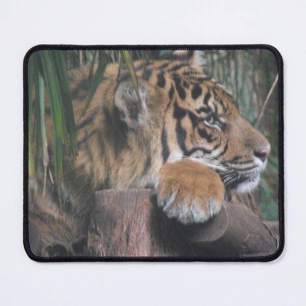 Item preview, Tiger  designed and sold by Kymbo.