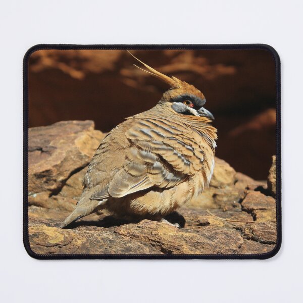 Item preview, Spinifex Pigeon designed and sold by Kymbo.