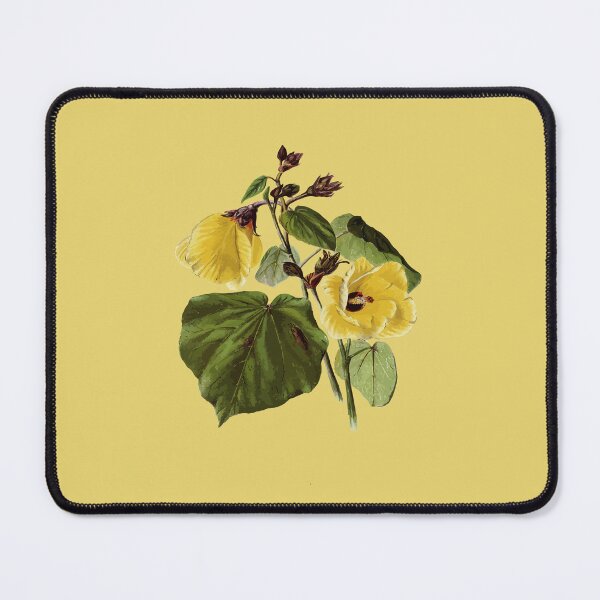Item preview, Hibiscus brackenridgei Hawaiian Flower Vintage Botanical designed and sold by taiche.