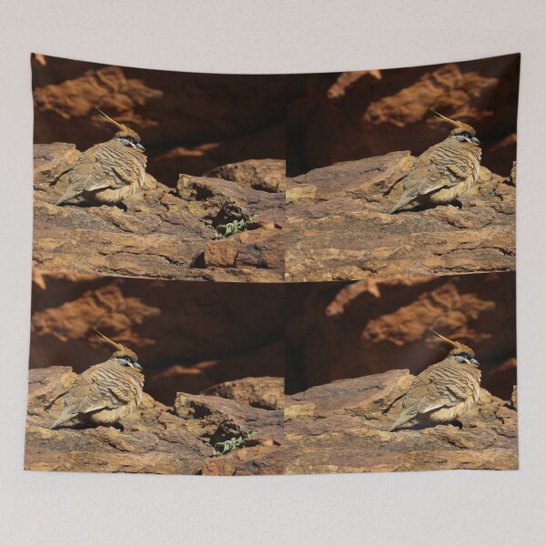 Item preview, Spinifex Pigeon designed and sold by Kymbo.
