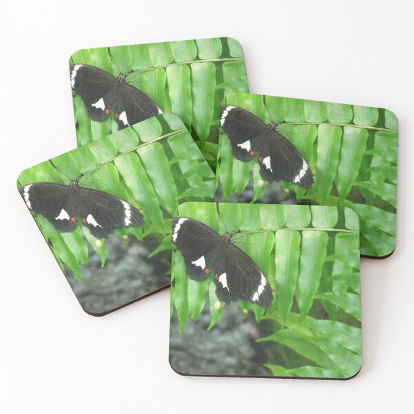 Item preview, Commmon Eggfly Butterfly designed and sold by Kymbo.
